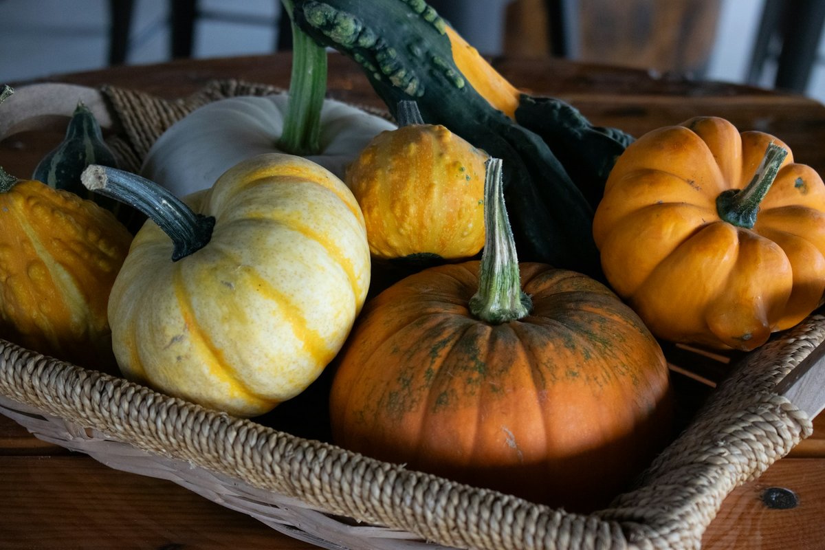 Courges et potirons dans un panier d'osier
